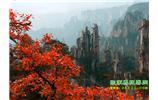 春節(jié)期間：張家界、天子山、金鞭溪自駕車精華精品游