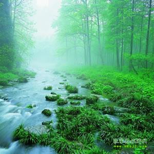 【純玩散拼尊享系列3】張家界、天子山、袁家界、黃龍洞、鳳凰三晚四日游