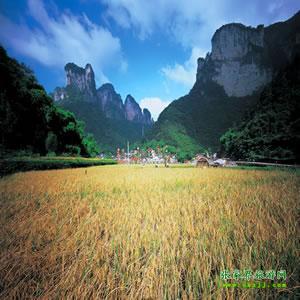 張家界往返純玩散拼：矮寨大橋、德夯苗寨、鳳凰古城、芙蓉鎮(zhèn)二日游